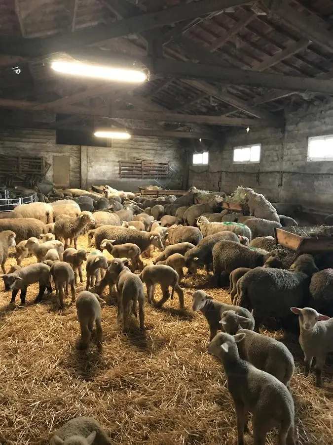 Vila Studio A La Ferme Arles