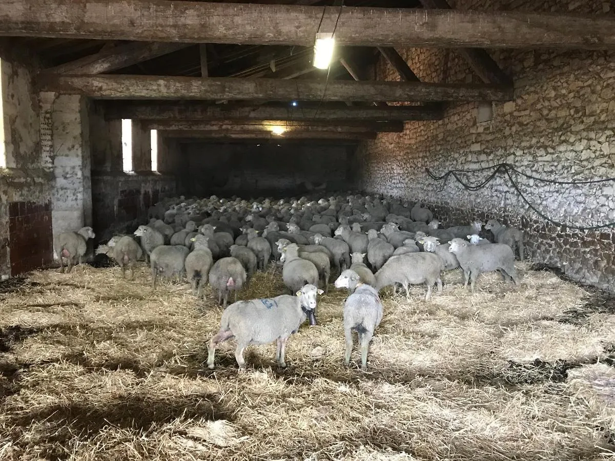 Hébergement de vacances Villa Studio A La Ferme à Arles