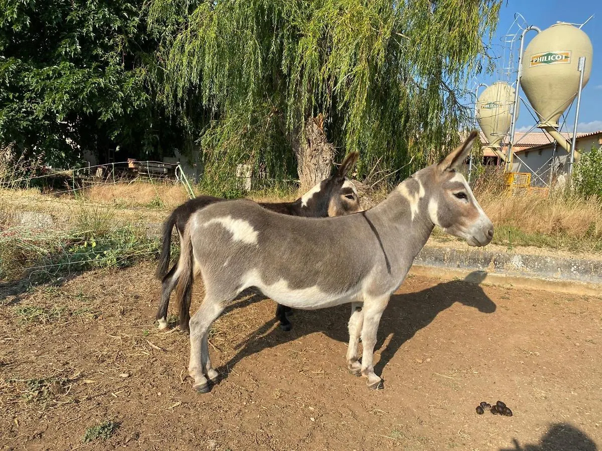 Hébergement de vacances Villa Studio A La Ferme à Arles